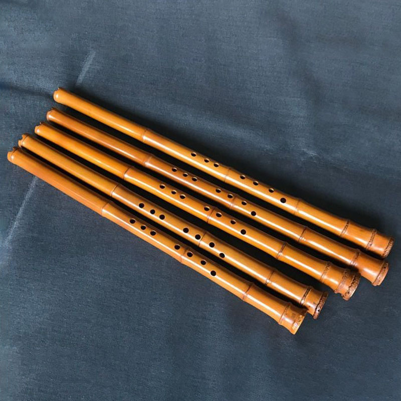 8-otworowa bambusowa fletka Xi – Musical Instrument I Play recenzja i cena