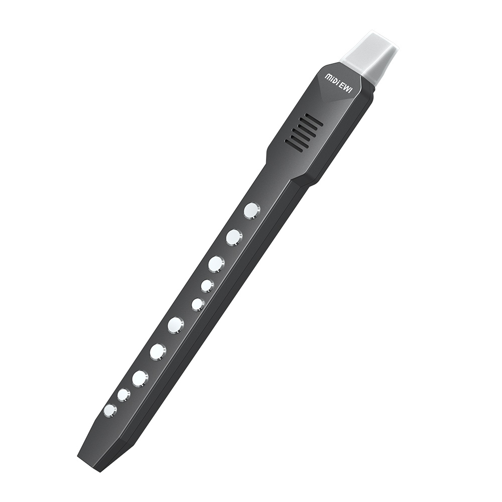 Mała flet transwersalny, elekt – Musical Instrument A Recorder recenzja i cena