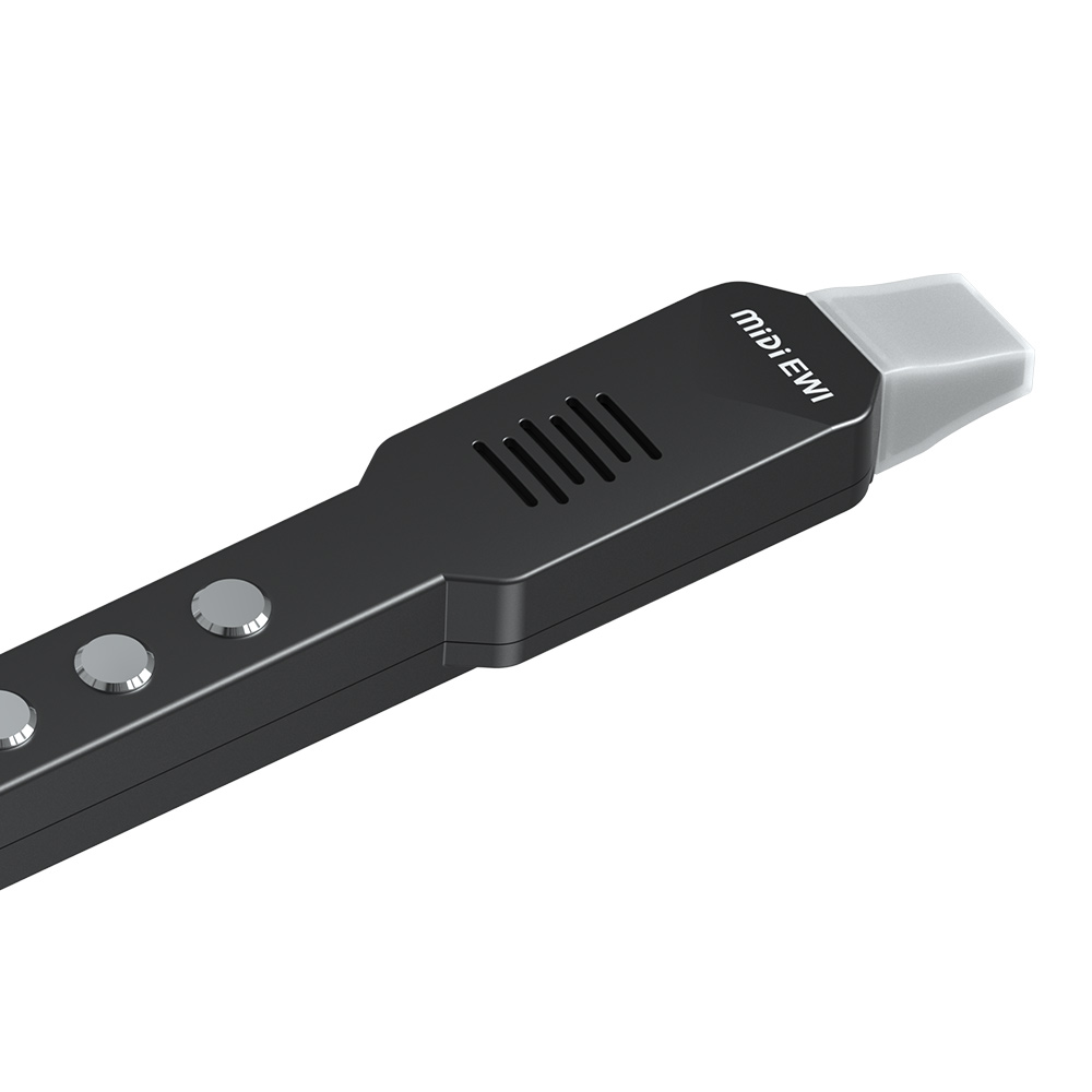 Mała flet transwersalny, elekt – Musical Instrument A Recorder recenzja i cena